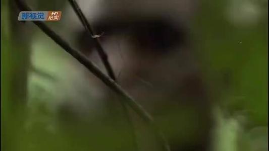 于建荣经典语录