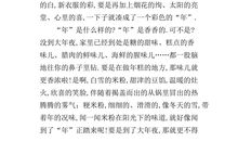 描写过新年的作文