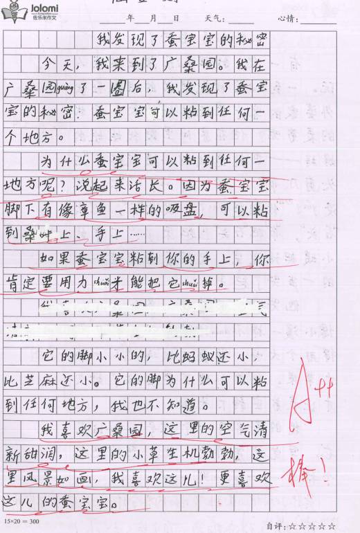 关于自我成长的组成