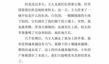 小学环保作文300字