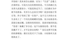 中秋节作文500字