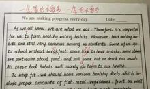 上网的利与弊作文