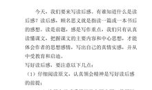 三个和尚读后感