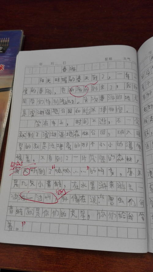 一年级春游日记