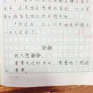 三年级的家务作文