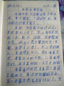 快乐的寒假假期组成