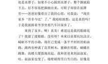 二十年后的家乡作文600字