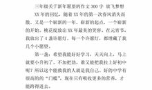 三年级作文过年300字