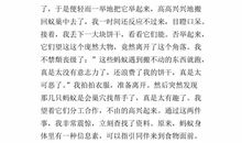 三年级作文观察蚂蚁