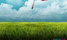 以成全为话题的作文