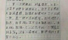 关于青春奋进的作文