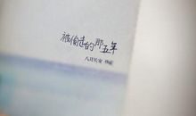 《被偷走的那五年》读后感