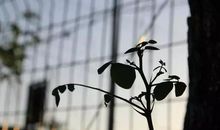 学会以下潜规则，让你的事业顺风顺水