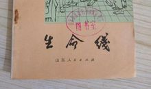 观看生命线的观后感