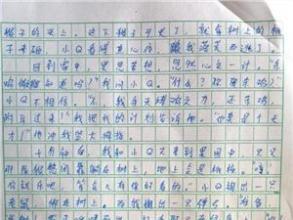 初中寒假生活构成