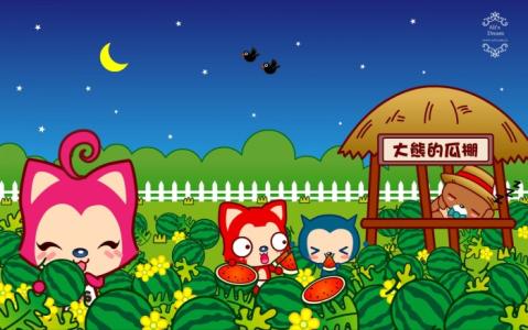 读《阿里·泰尔》后的感想