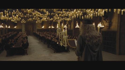 哈利·波特与火焰杯