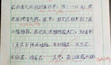 二年级作文春游