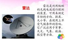 《蝙蝠为什么不去开会》读后感