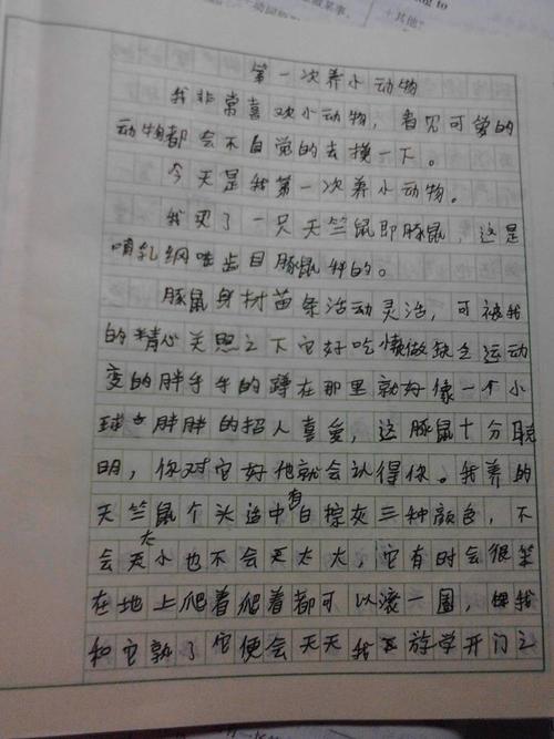 美好的一天作文500字