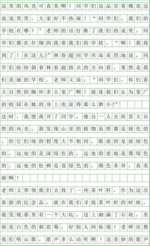 我的建议春季郊游组成