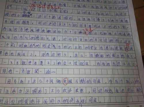 我的好朋友500字作文