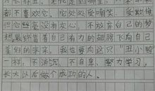 天堂午餐读后感400字