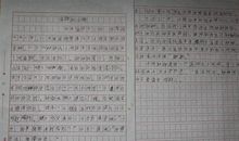 小学生作文拜年