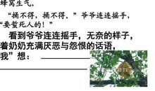 关于马的故事的作文