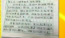 不会变的是爱作文