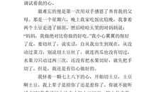 第一次作文800字