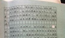 关于饮食的作文