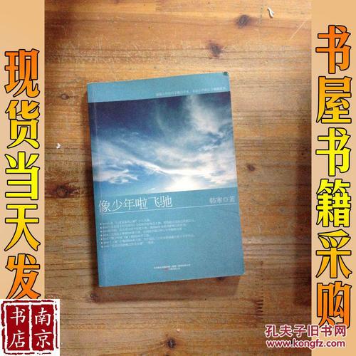 关于阅读《喜欢男孩，超速驾驶》的思考