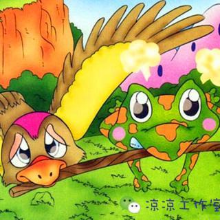 看完青蛙动起来