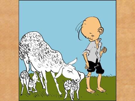 阅读《小娃娃流浪》后的感想