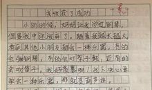 三年级作文我成功了