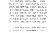 瞬间的永恒作文