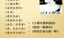 单元习作——感受自然：一只狼的故事