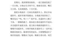 三年级作文我家的小狗