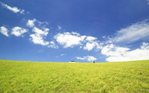 单元分配-感受自然:融入自然