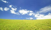 单元习作——感受自然：融入大自然