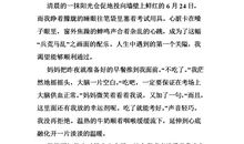 亲情无处不在作文