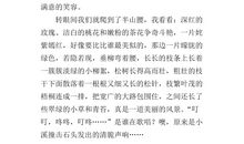 三年级作文家乡美景