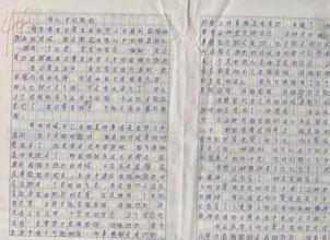 写夏天作文1000字