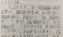 打雪仗作文200字