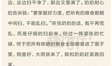 暑假趣事作文300字