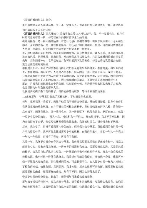 美丽的时刻组成