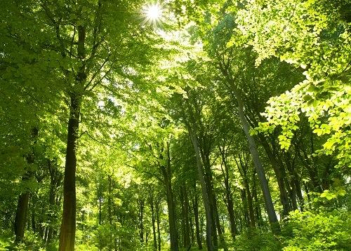 单位分配感自然：美丽的世界