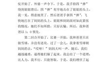 打雪仗作文100字