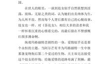 红高粱读后感1000字